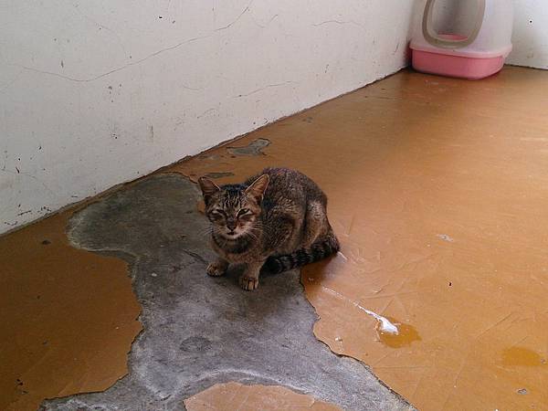 2014-03-22 11.11.55.jpg 2014-03-22 11.11.55.jpg