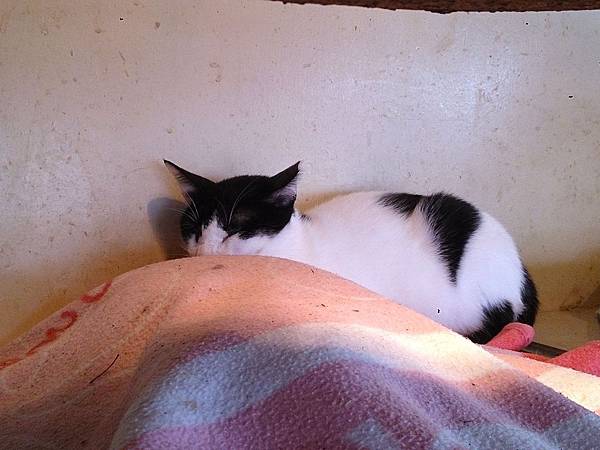 2014-03-22 11.33.24.jpg 2014-03-22 11.33.24.jpg