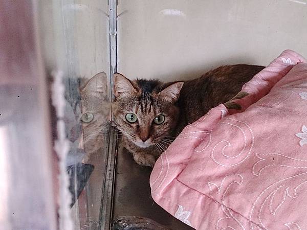 2014-03-22 11.33.58.jpg 2014-03-22 11.33.58.jpg