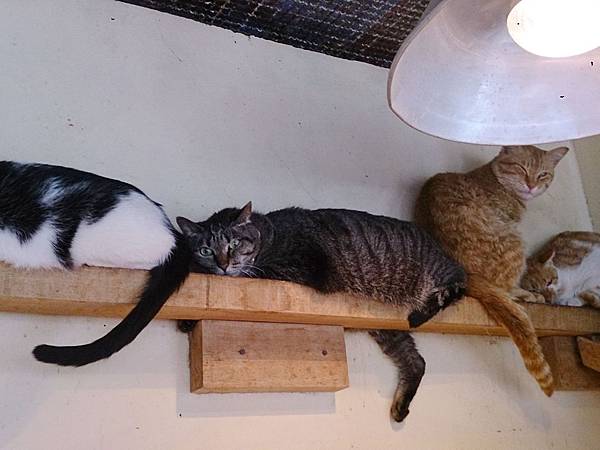 2014-03-22 11.34.03.jpg 2014-03-22 11.34.03.jpg