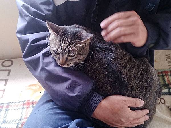 2014-03-22 13.30.16.jpg 2014-03-22 13.30.16.jpg