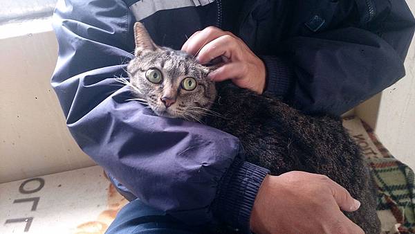 2014-03-22 13.30.20.jpg 2014-03-22 13.30.20.jpg