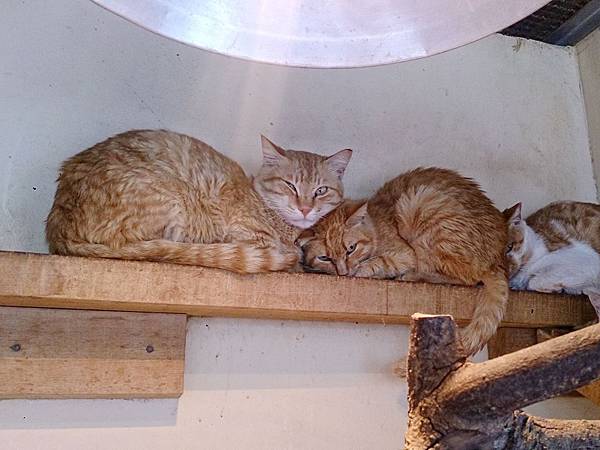 2014-03-22 13.41.35.jpg 2014-03-22 13.41.35.jpg