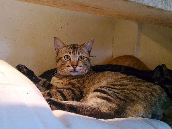 2014-03-22 13.41.45.jpg 2014-03-22 13.41.45.jpg