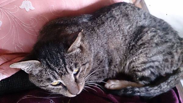 2014-03-22 13.45.08.jpg 2014-03-22 13.45.08.jpg