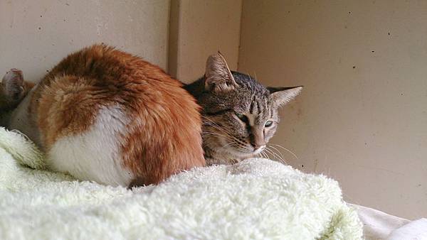 2014-03-22 14.55.25.jpg 2014-03-22 14.55.25.jpg