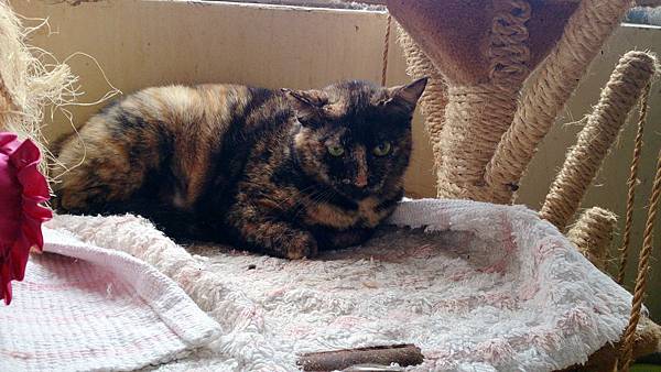 2014-03-22 14.55.29.jpg 2014-03-22 14.55.29.jpg