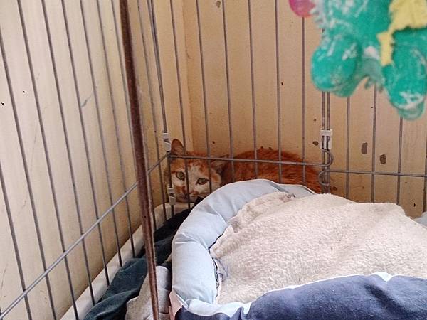 2014-03-22 14.57.59.jpg 2014-03-22 14.57.59.jpg