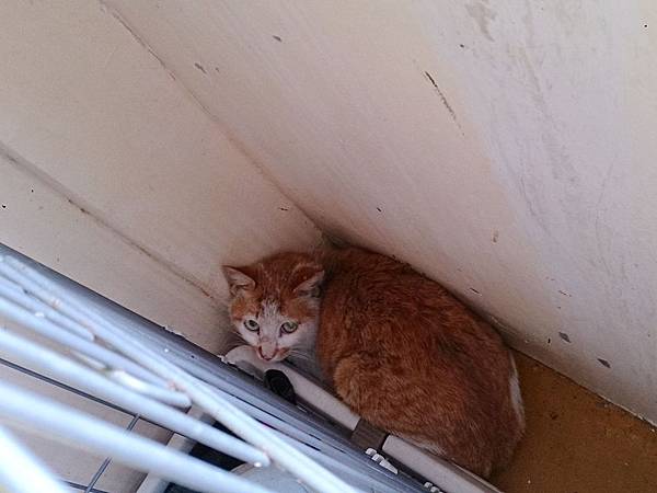 2014-03-22 14.58.12.jpg 2014-03-22 14.58.12.jpg