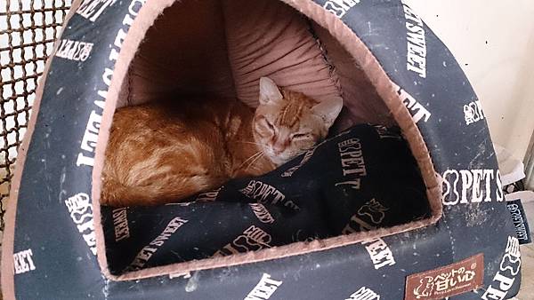 2014-03-22 14.58.44.jpg 2014-03-22 14.58.44.jpg