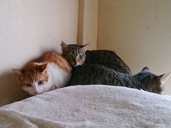 2014-03-22 15.02.50.jpg 2014-03-22 15.02.50.jpg