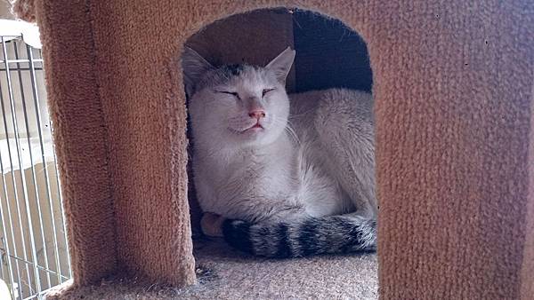 2014-03-22 15.05.52.jpg