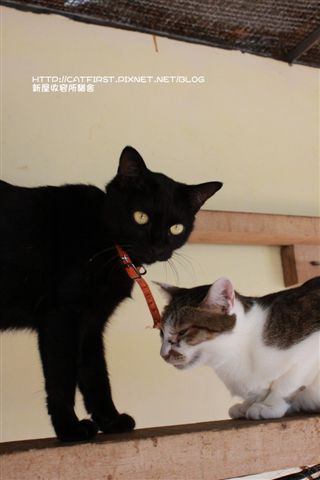 IMG_3185.JPG IMG_3185.JPG