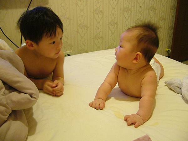 P1070382.JPG P1070382.JPG