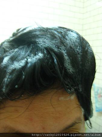 IMG_6511 IMG_6511