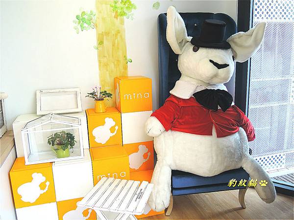 DSCN0072_meitu_4 DSCN0072_meitu_4