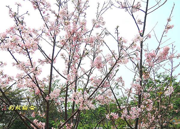 DSCN0487_meitu_80_meitu_82