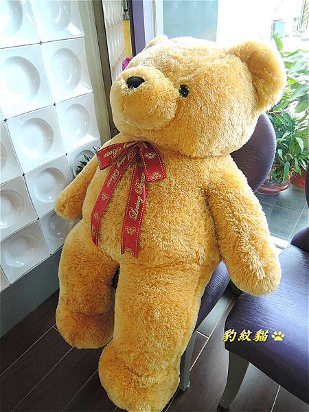 DSCN0893_meitu_8 DSCN0893_meitu_8