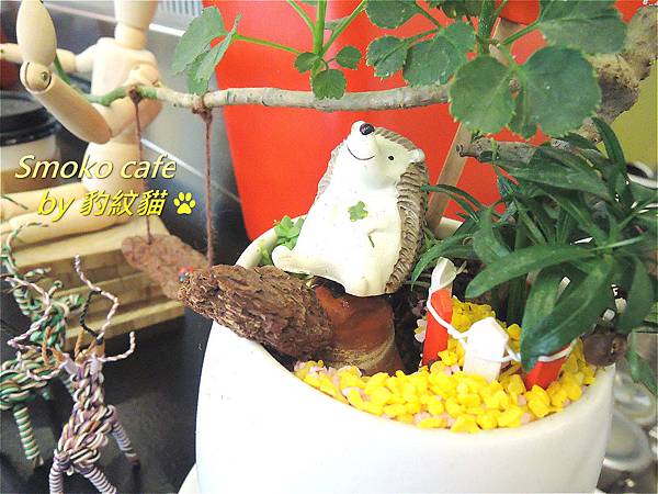 DSCN2643_meitu_4 DSCN2643_meitu_4