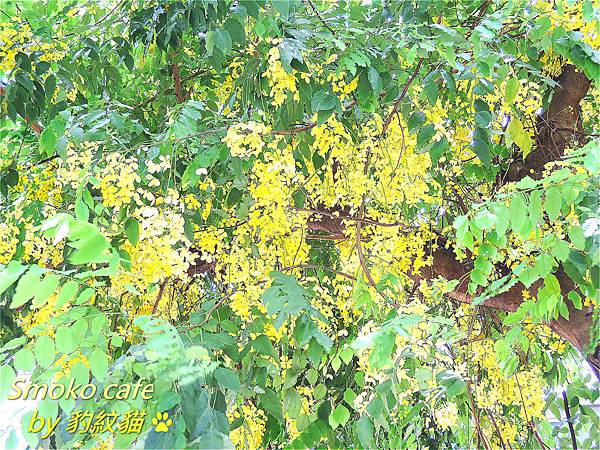 DSCN2712_meitu_40 DSCN2712_meitu_40