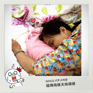 http://pic.pimg.tw/catletps/1341512600-1749637587.png