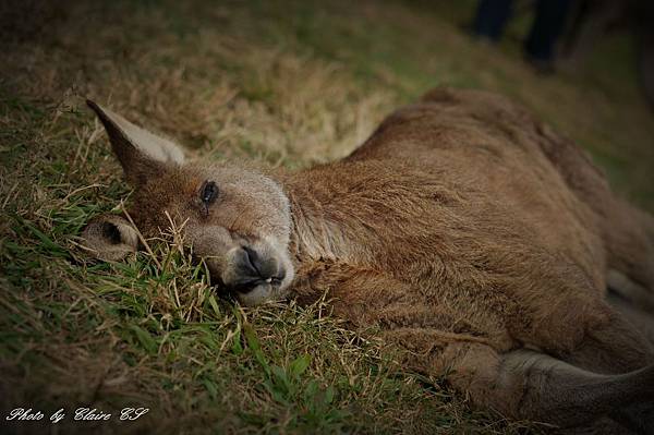 DSC_0080.JPG DSC_0080.JPG