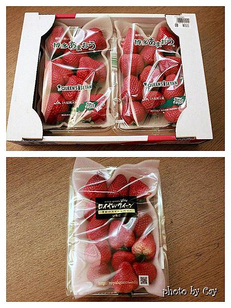 PhotoByCay_130328 025P01 PhotoByCay_130328 025P01