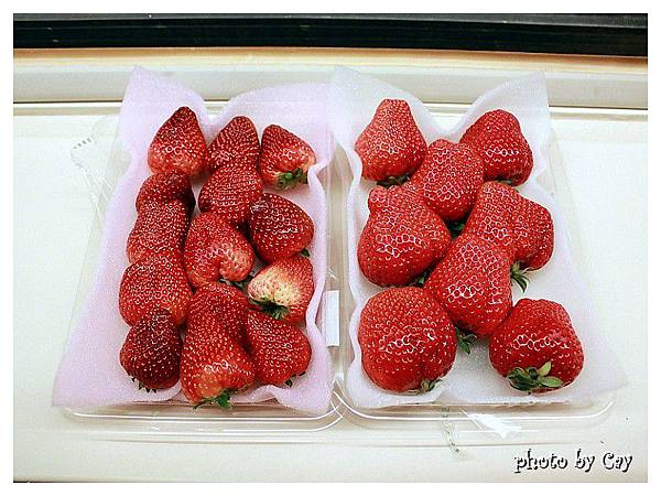 PhotoByCay_130328 031P01 PhotoByCay_130328 031P01