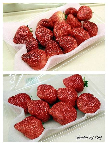 PhotoByCay_130328 028P01 PhotoByCay_130328 028P01