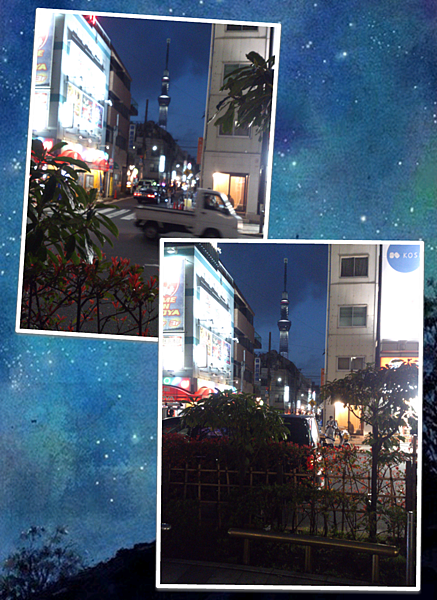 PhotoByCay_130328 013P011 PhotoByCay_130328 013P011