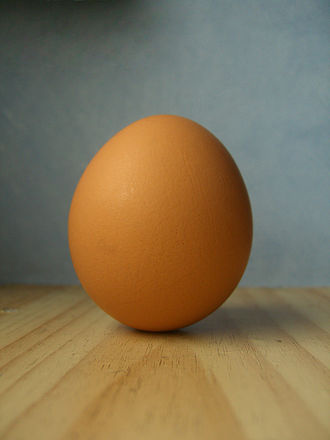 330px-Egg