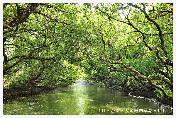 DSC_6752.JPG DSC_6752.JPG