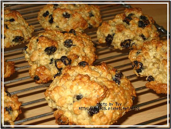 photos 010-2.jpg photos 010-2.jpg