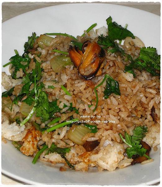 IMG_7404-2 IMG_7404-2