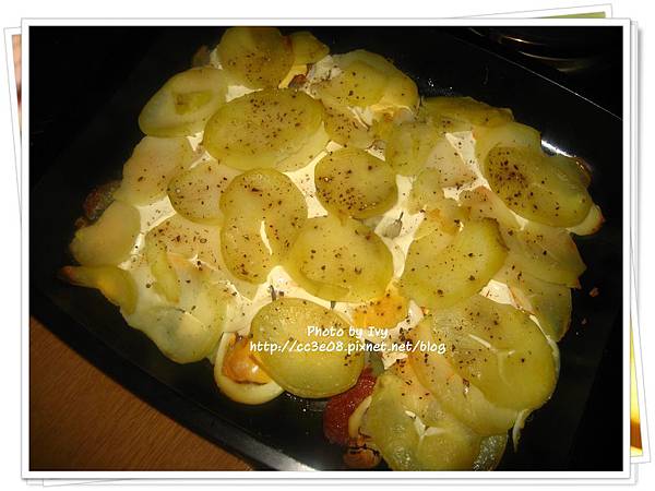 IMG_0687-2 IMG_0687-2