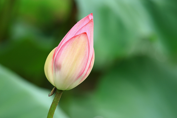 法雅客24hr_18.jpg 法雅客24hr_18.jpg