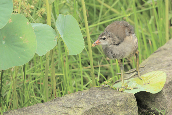 法雅客24hr_20.jpg 法雅客24hr_20.jpg