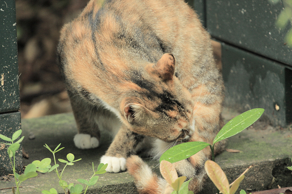 法雅客24hr_19.jpg 法雅客24hr_19.jpg