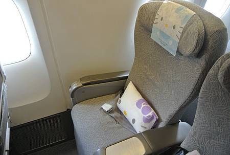 豪華經濟大椅子