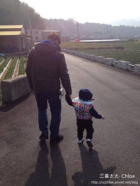 苗栗 大湖採草莓 (上集) 私房景點分享 苗栗 大湖採草莓 (上集) 私房景點分享