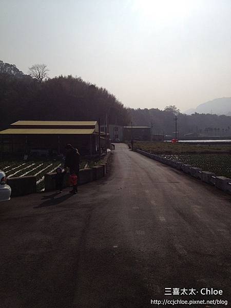 苗栗 大湖採草莓 (上集) 私房景點分享 苗栗 大湖採草莓 (上集) 私房景點分享