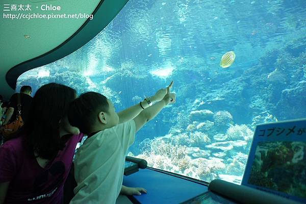 沖繩。自駕親子遊