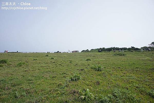 沖繩。自駕親子遊