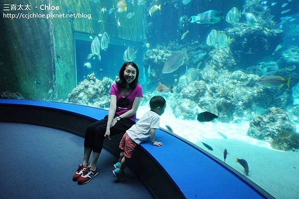 沖繩。自駕親子遊