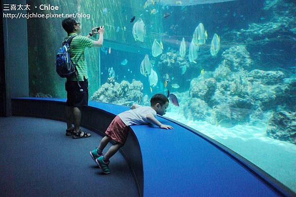 沖繩。自駕親子遊