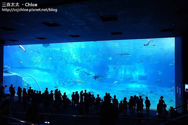 沖繩。自駕親子遊