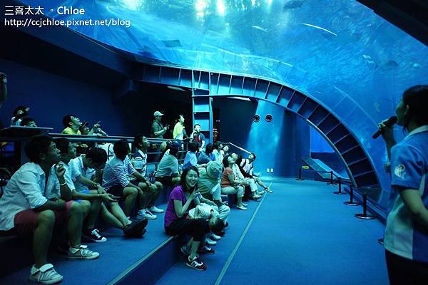 沖繩。自駕親子遊