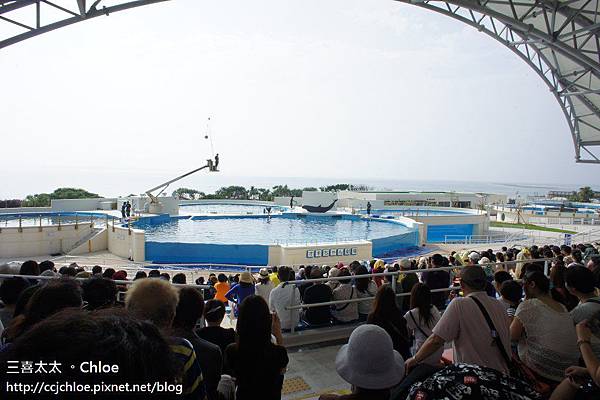 沖繩。自駕親子遊