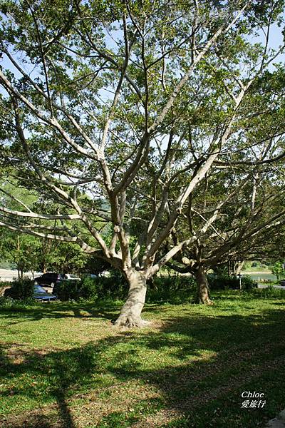 (苗栗) 幽靜的湖光山色 @ 海棠島