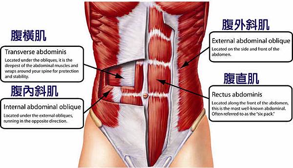 馬甲線怎麼練kimiko馬甲線女生腹肌女生馬甲線怎麼練